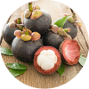 in-mangostao in-mangostao